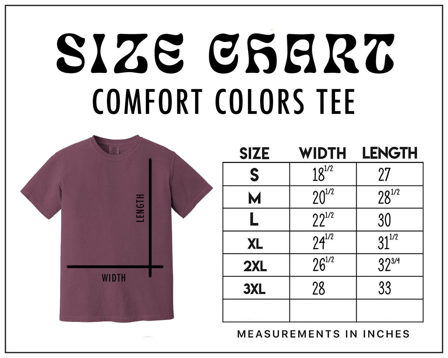 King Gizzard Planet B Shirt, KGLW Shirt, There is no planet B Shirt, King Gizzard fan tee