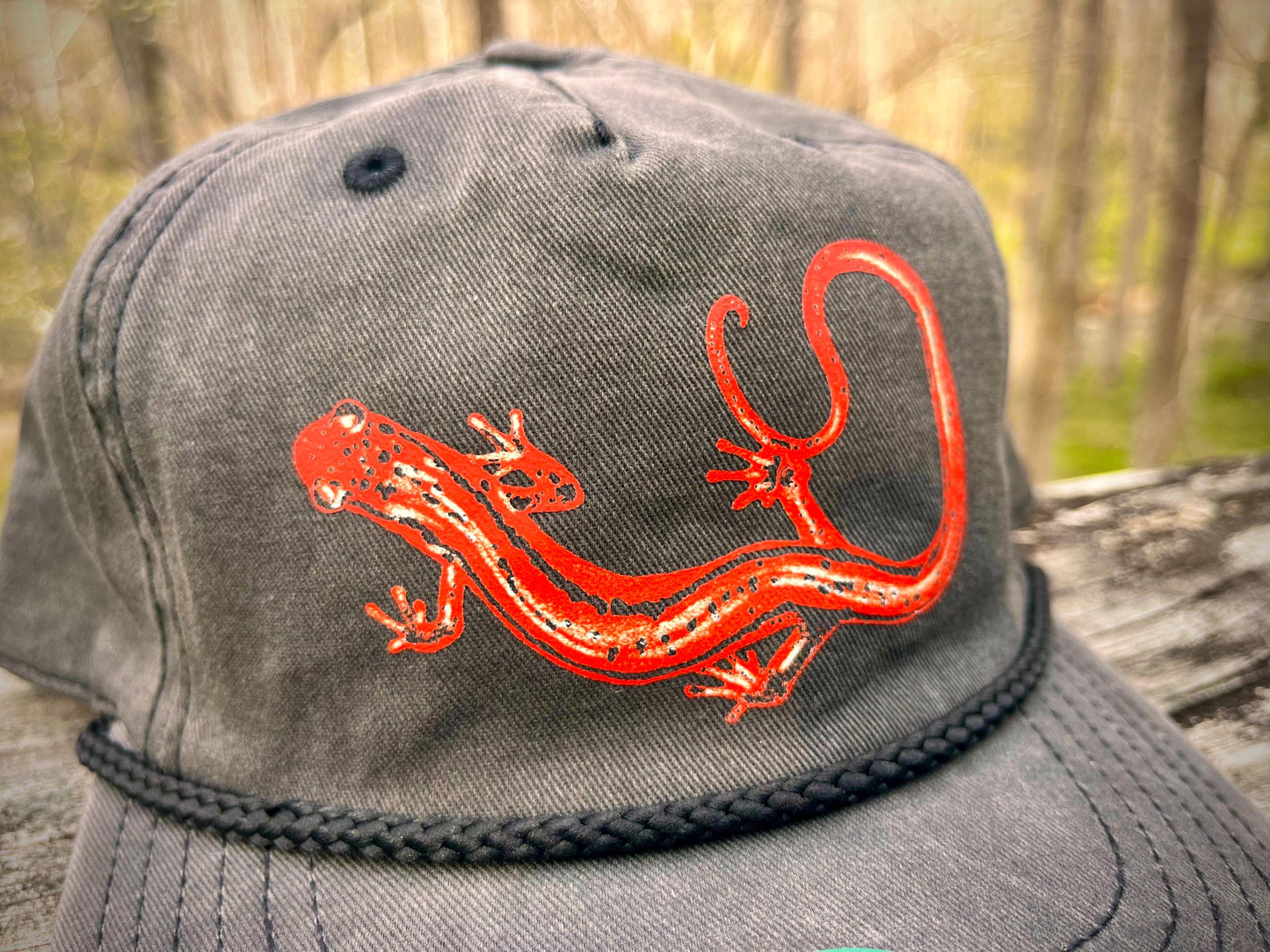 Salamander Hat, Appalachian Nature hat, Northern Two Lined Salamander Hat, amphibian lover hat