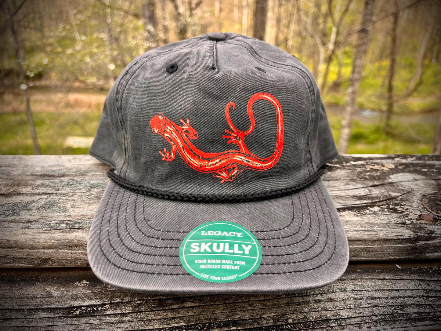 Salamander Hat, Appalachian Nature hat, Northern Two Lined Salamander Hat, amphibian lover hat