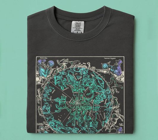 Vintage Astrology Shirt, Zodiac Sign Shirt, Astrology lover gift, Comfort Colors