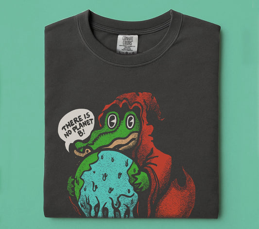 King Gizzard Planet B Shirt, KGLW Shirt, There is no planet B Shirt, King Gizzard fan tee