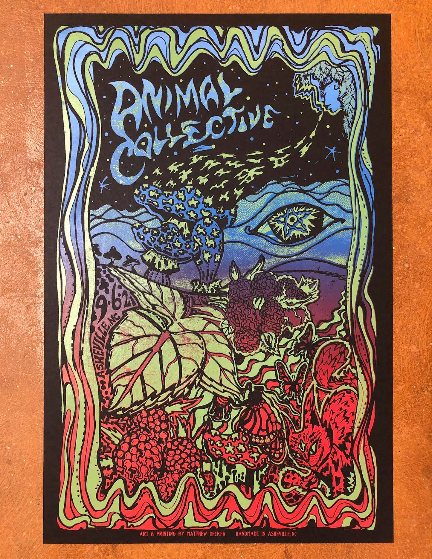 Animal Collective Poster, Animal Collective Asheville 9/6/21, Screen Printed Concert Poster, Hand made Screen print